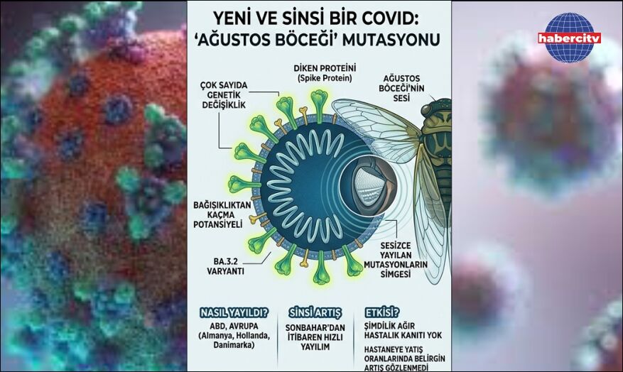 Adı Ağustos böceği: COVID-19 yine mutasyona uğradı