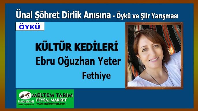 Kültür Kedileri