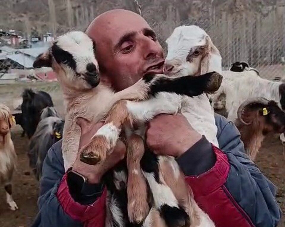 Fenomen çobanın oğlak sevgisi yürekleri ısıttı
