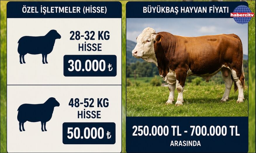 Kurbanlık fiyatları belli olmaya başladı