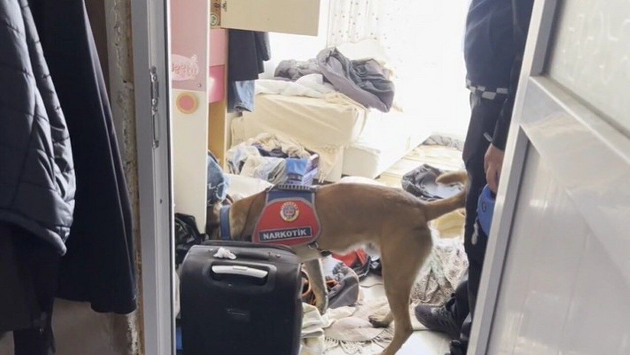 Alanya'da yasa dışı silah ve mühimmat operasyonu