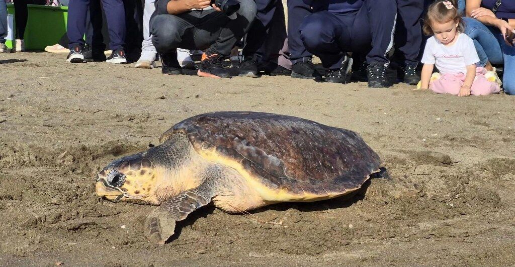 Dalyan’da Umudun İzinde: Deniz’e Dönüş DEKAMER