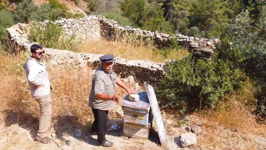 Muğla'da kovan barınakları örnek bir model olacak
